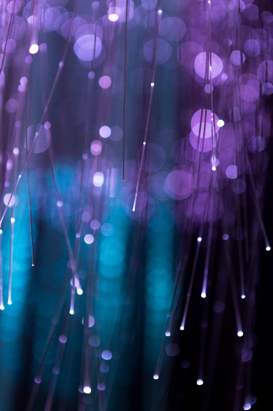 保定卉咖啡生活馆公园时代店,卉咖啡生活馆公元时代店保定