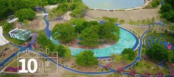 郑州春节周边景区免费景点大全,春节赏花的好去处