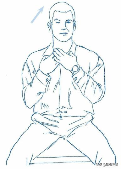 胸锁乳突肌和斜角肌手法松解详解,胸锁乳突肌的运动解剖解析