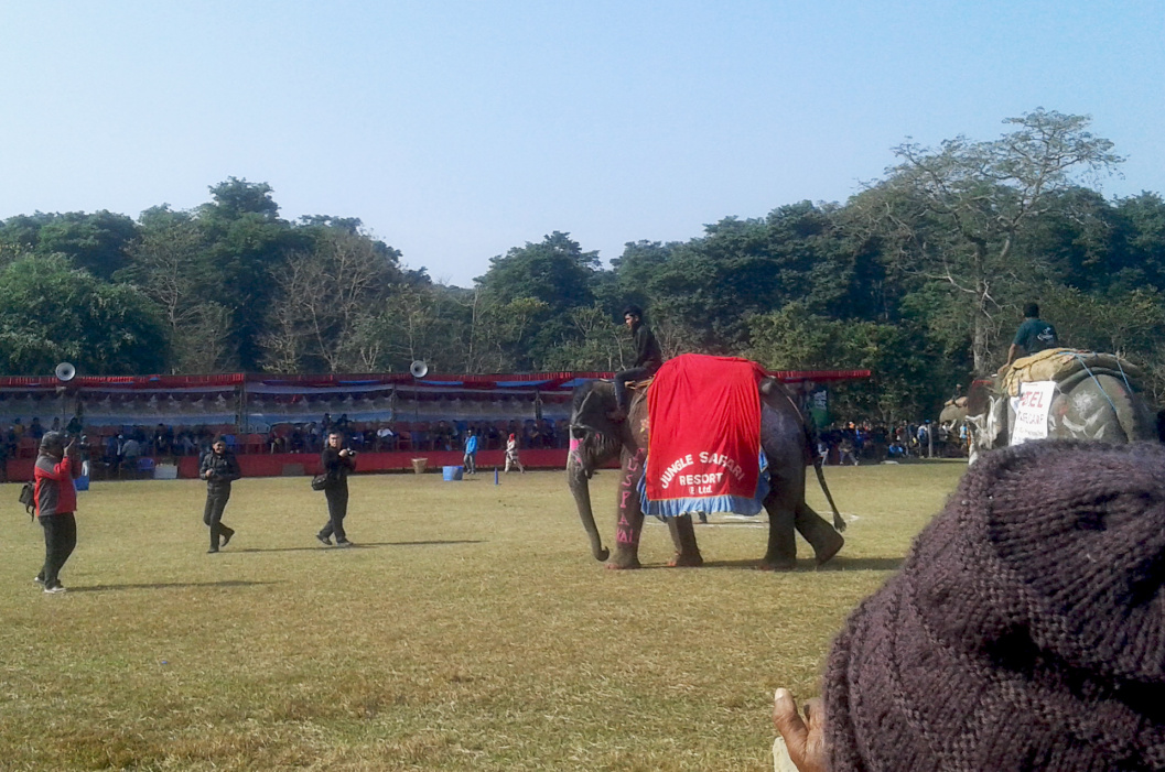 大象足球大赛,大象足球赛