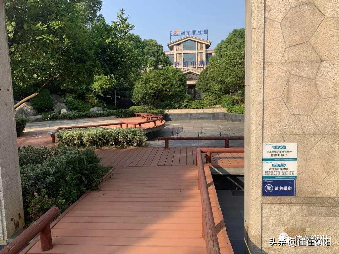 鉴盘②丨碧桂园入衡首盘,五星级的家兑现了吗?