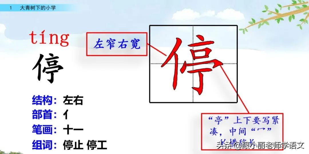 大青树下的小学重要背诵内容,大青树下的小学重点知识点