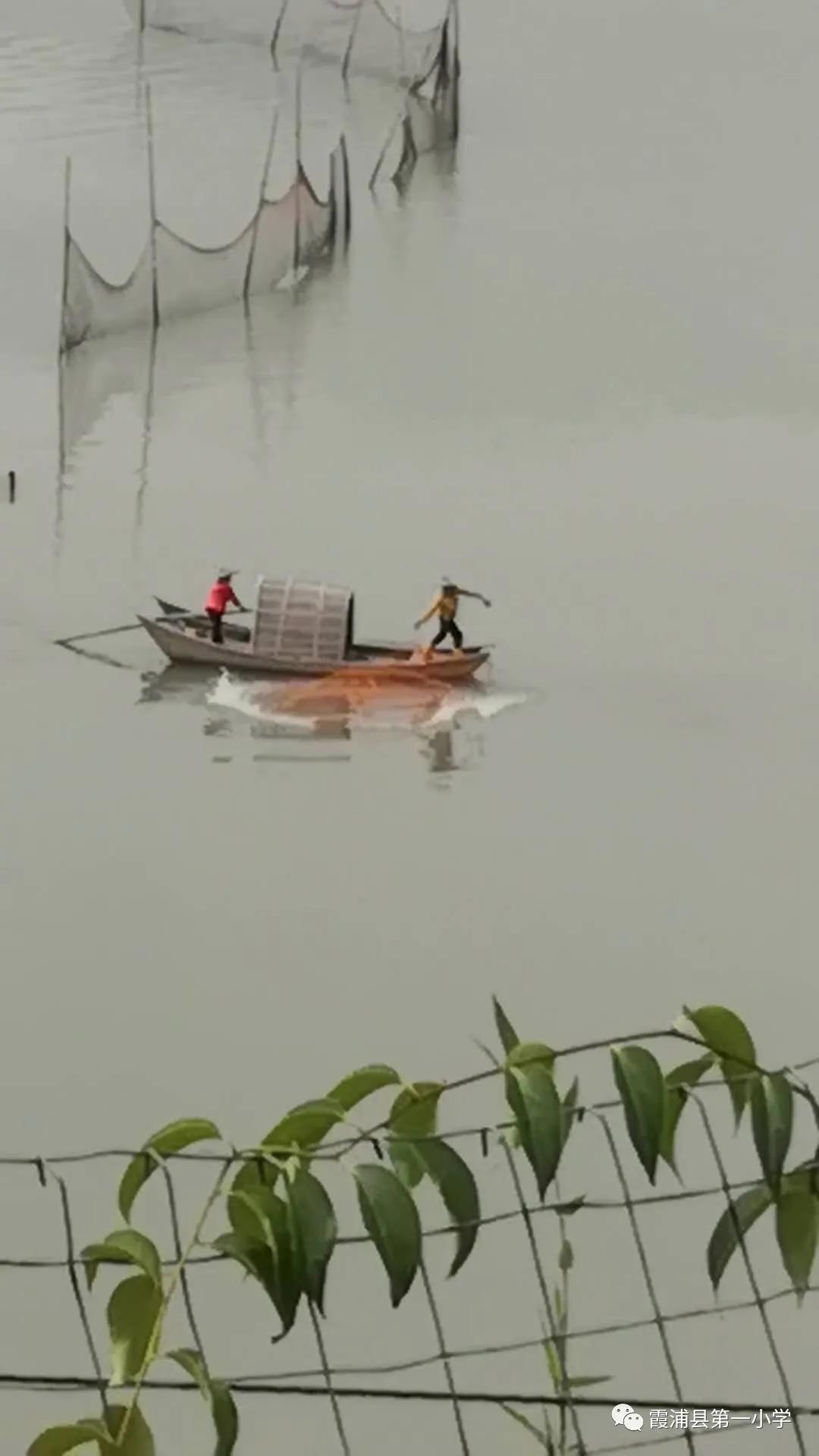 霞浦一中高一新生夏令营,霞浦县夏令营