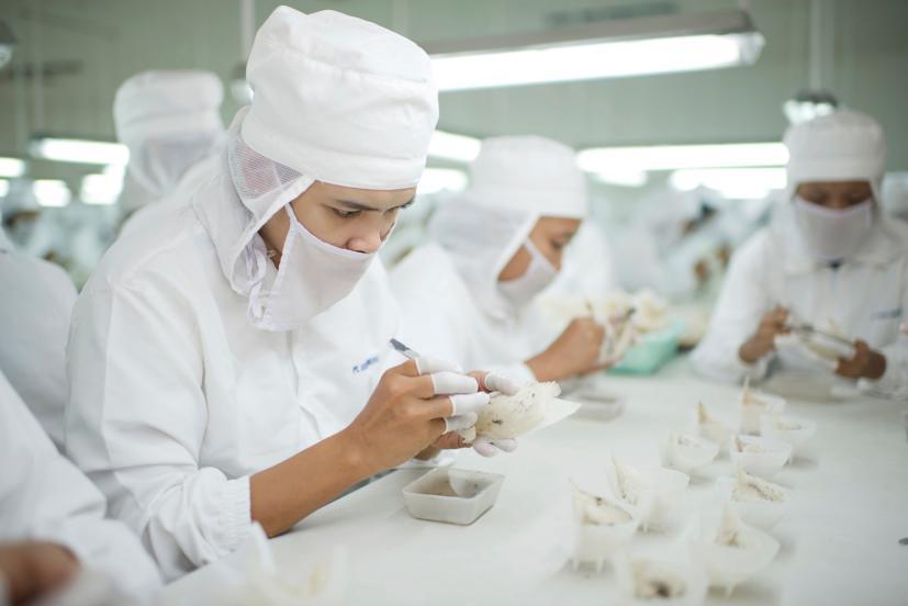 京东燕窝怎么选,京东旗舰店买燕窝靠谱吗