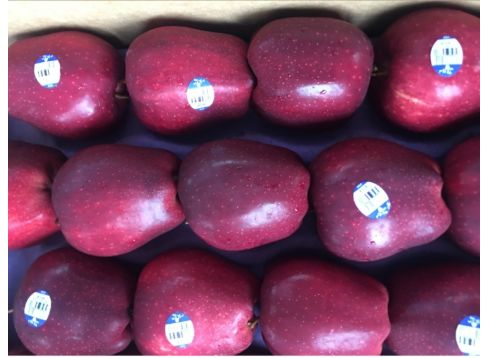 生鲜果蔬配送商城长春,全球顶级水果生鲜配送