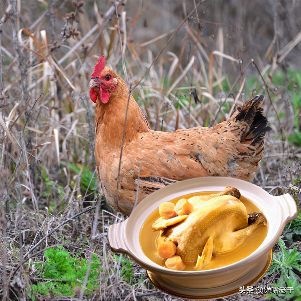 杀鸡时鸡肚里黄油是扔掉还是吃掉,杀鸡发现鸡肚子里有什么东西