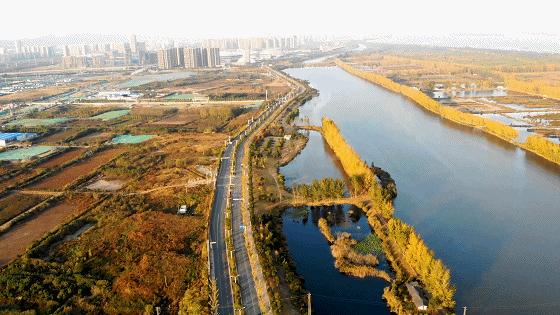 江核青奥板块,江核和青奥适合买的房子