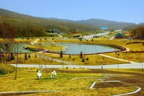 旅游哈尔滨的攻略路线怎么走,游玩路线哈尔滨