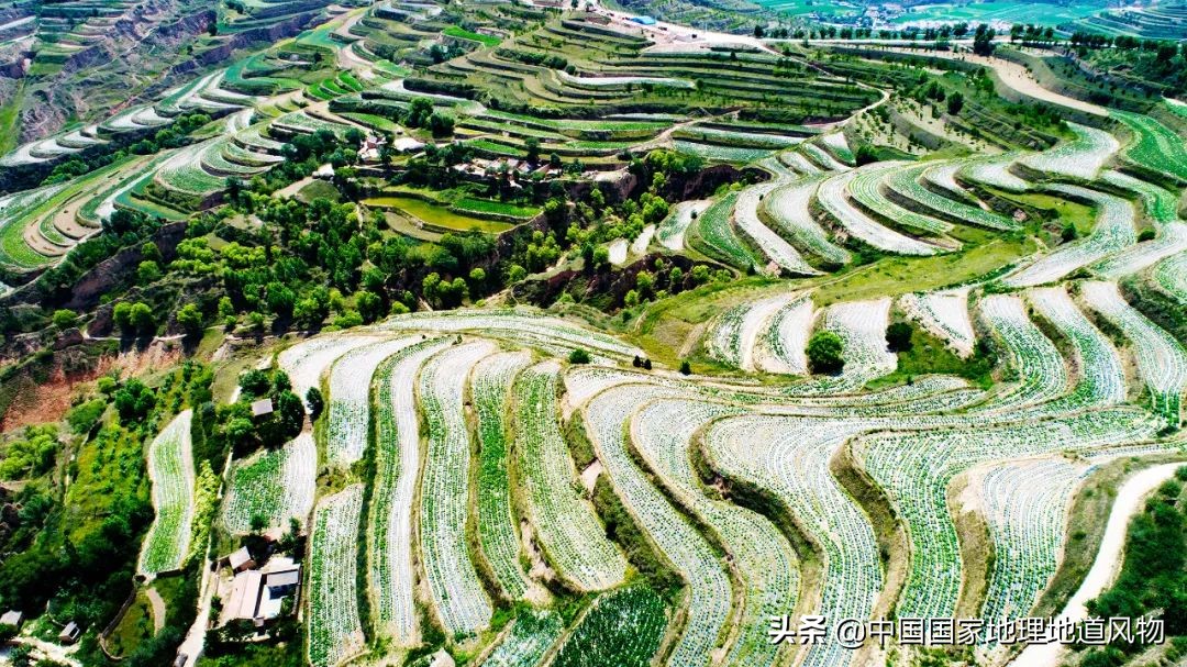 中国薯都地址在哪里,中国薯都为什么是定西