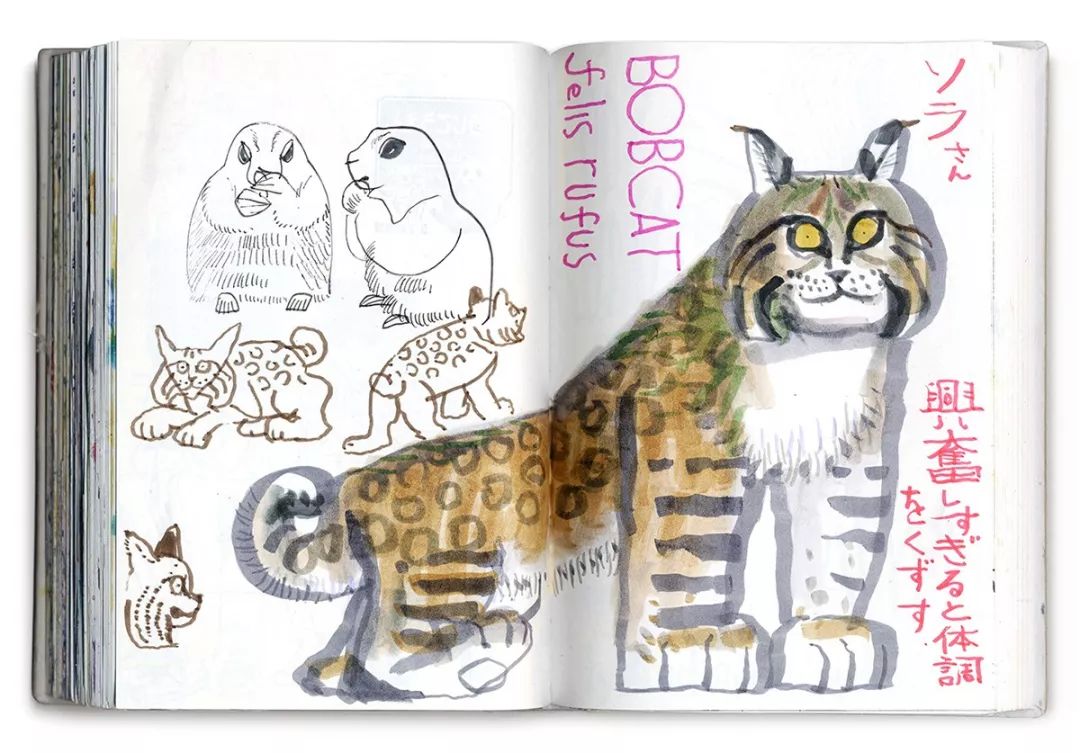 全球插画奖获奖作品集,全球插画大赛2019