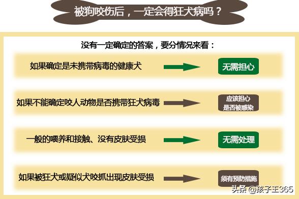 家长没及时处理孩子狂犬病,小男孩得了狂犬病会有什么症状
