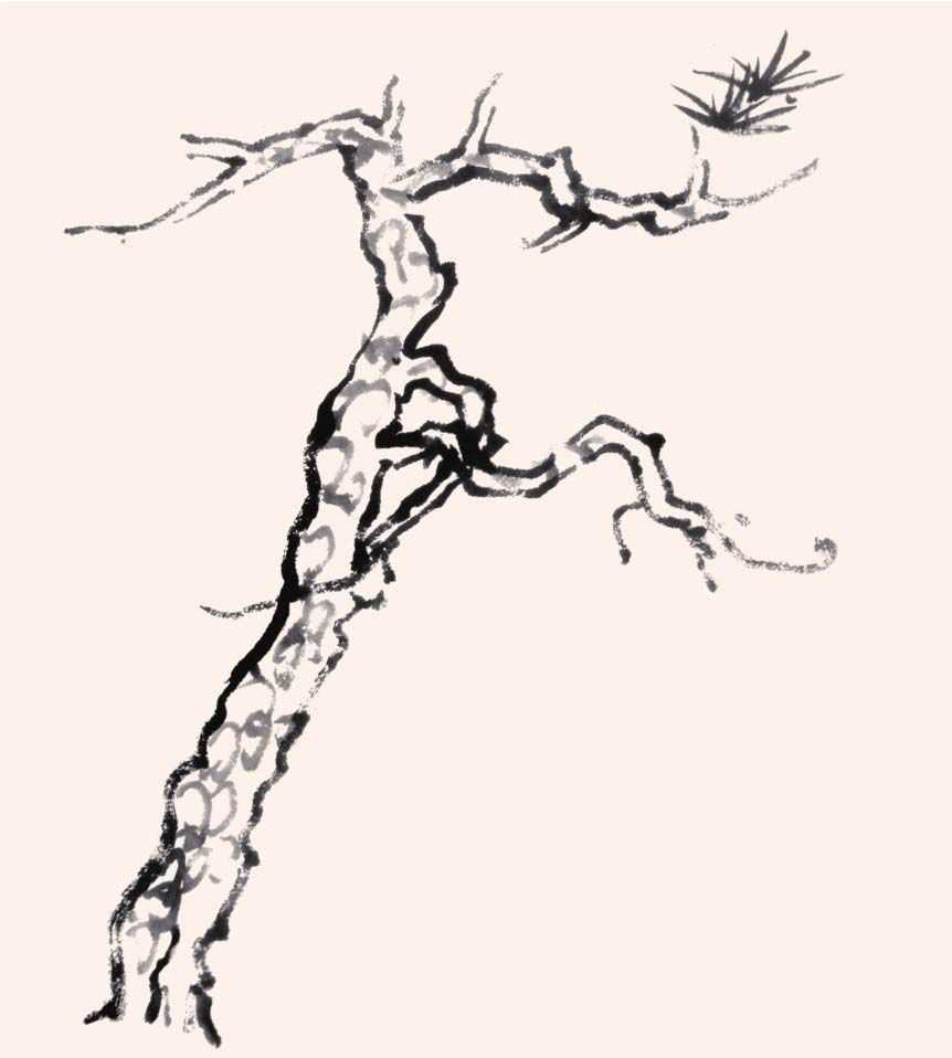 国画画树时的使转用笔方法,国画教程画树入门