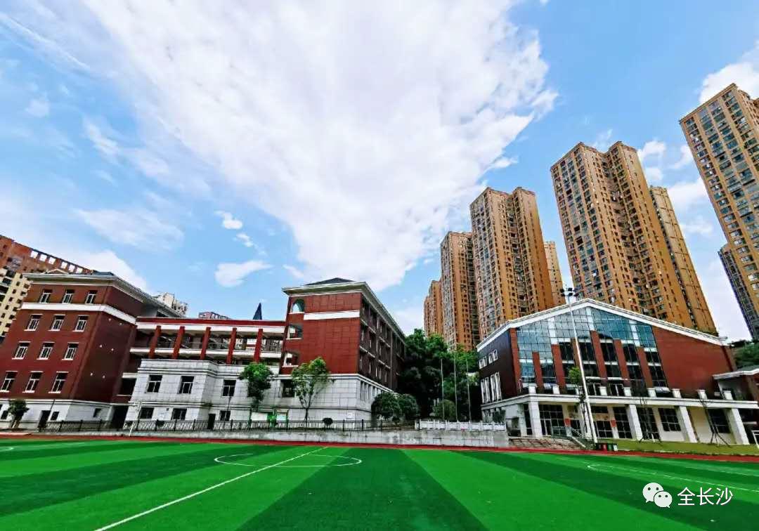 长沙市枫树山集团,湖南长沙实力最强的企业有哪些