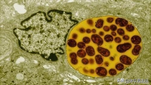 皮肤科那些事,皮肤科什么病最严重