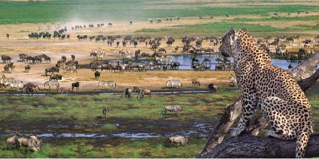弱小的坦桑尼亚，在中国的帮助下，坐拥“最强非洲解放军”
