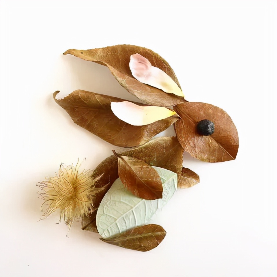 有多少种各种各样的小动物呢,用落叶做可爱的小动物