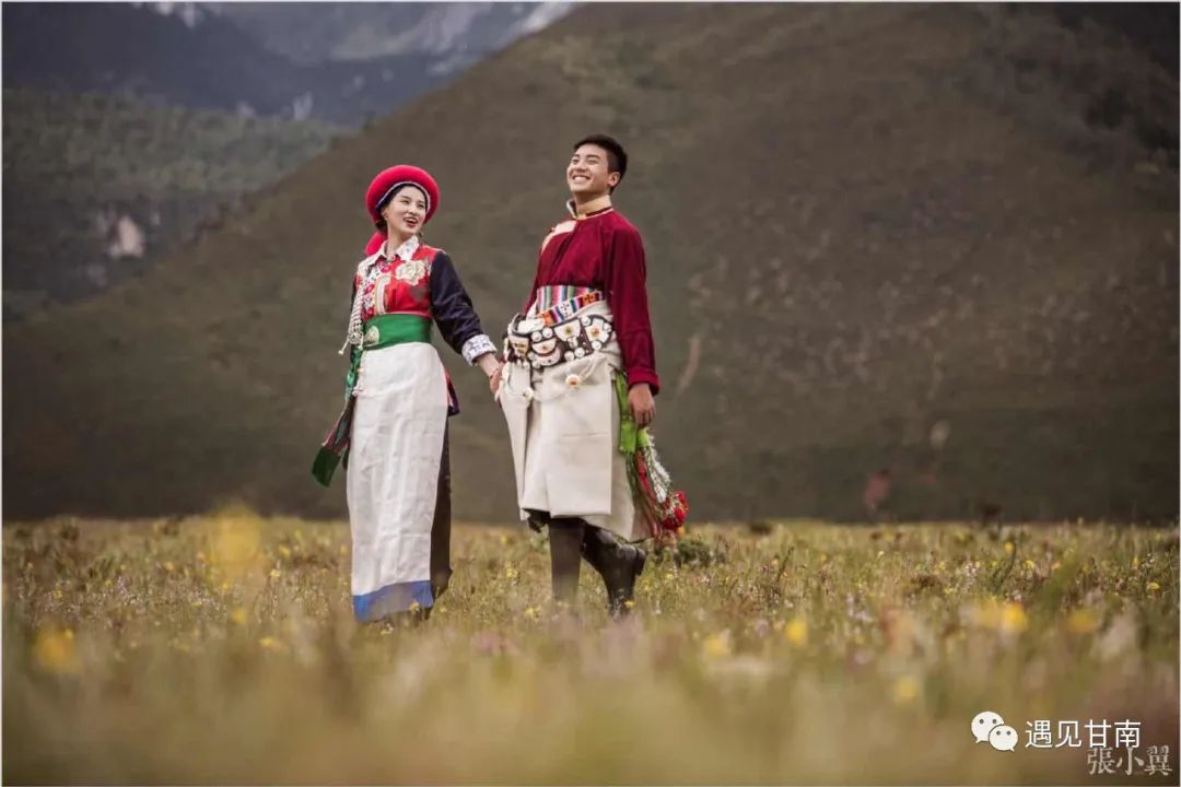 夏天的草原玛曲,夏天的玛曲草原