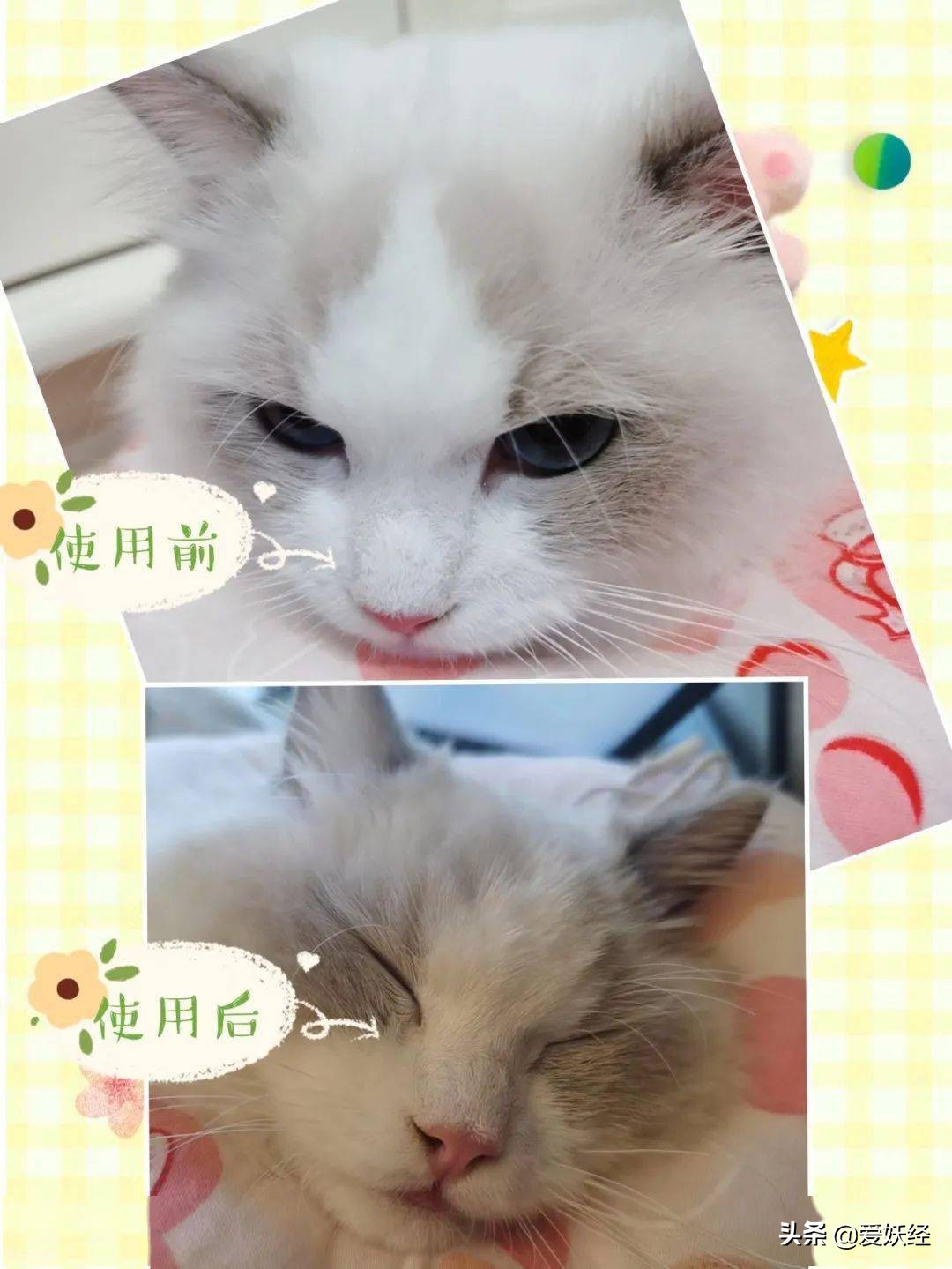 软便精有救了？干了这碗粮，养胃又护肠