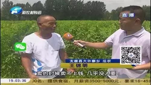 真正的假肥料有哪些,四种假肥料不骗人