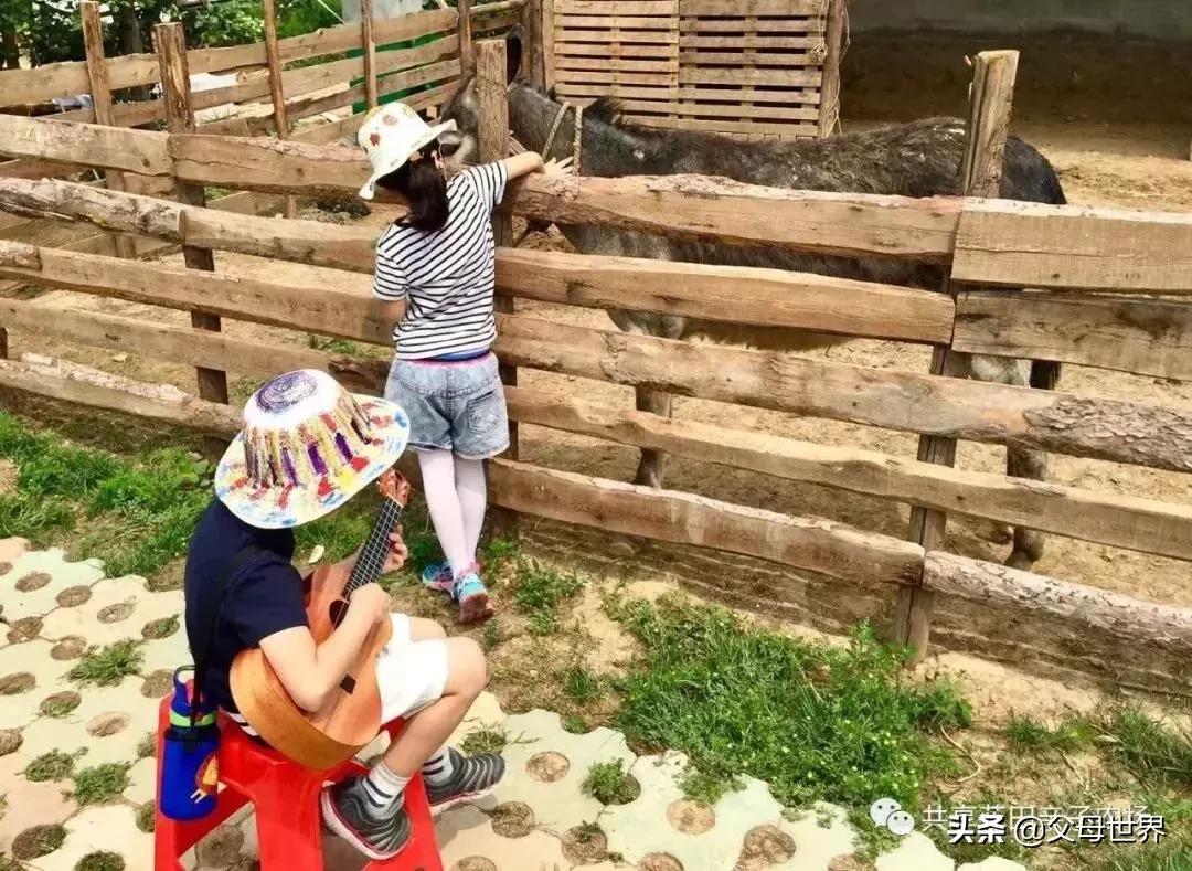 国内不太偏的亲子小众旅游 (全球最适合亲子游的十大旅游胜地)