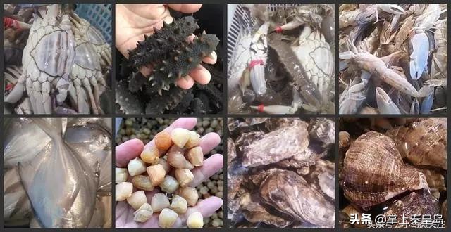 北漂夫妇辞职,北漂夫妻开民宿