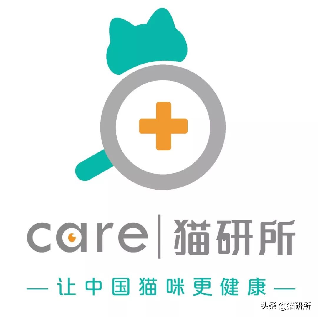 猫咪夏季好物推荐平价,猫咪防抓好物推荐