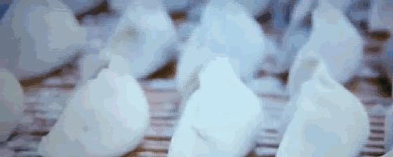 这个最适合冬天来的北方小城，光是海鲜就能让你吃回票价