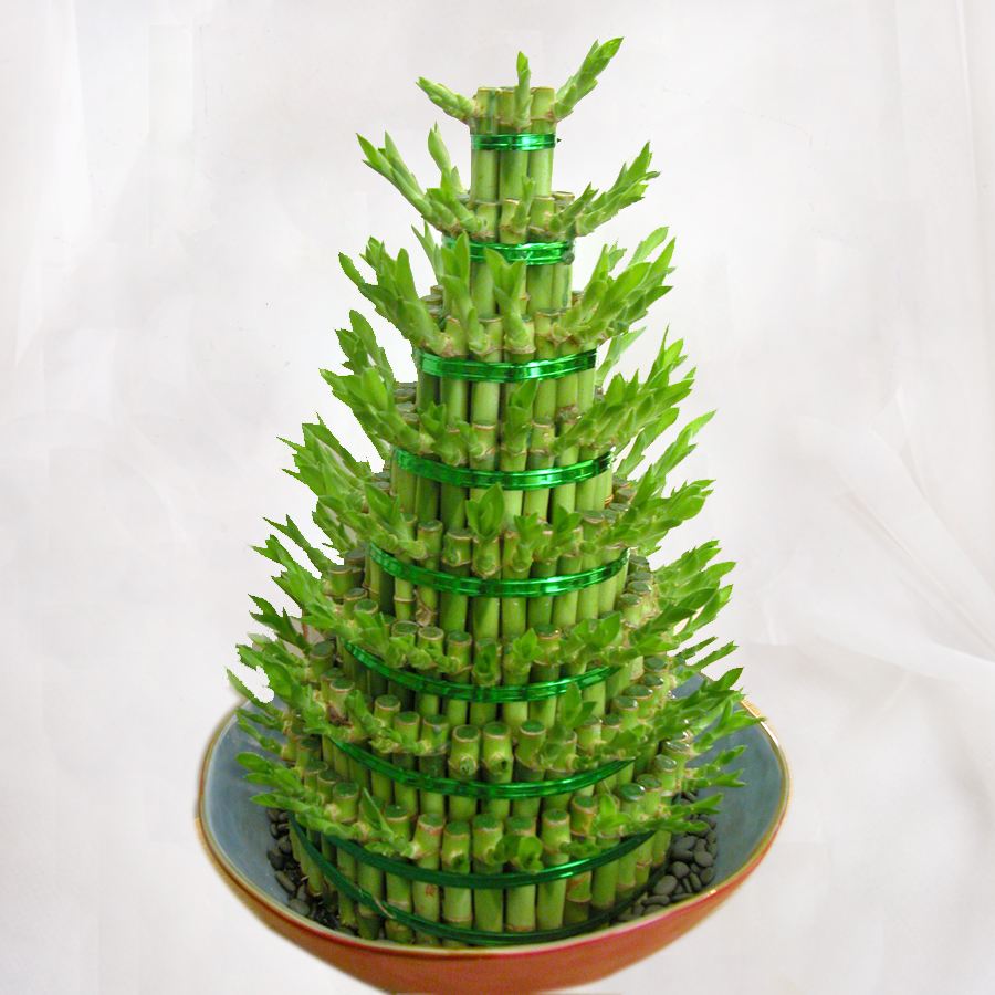 家里装饰的四大风水禁忌,风水最旺的装饰