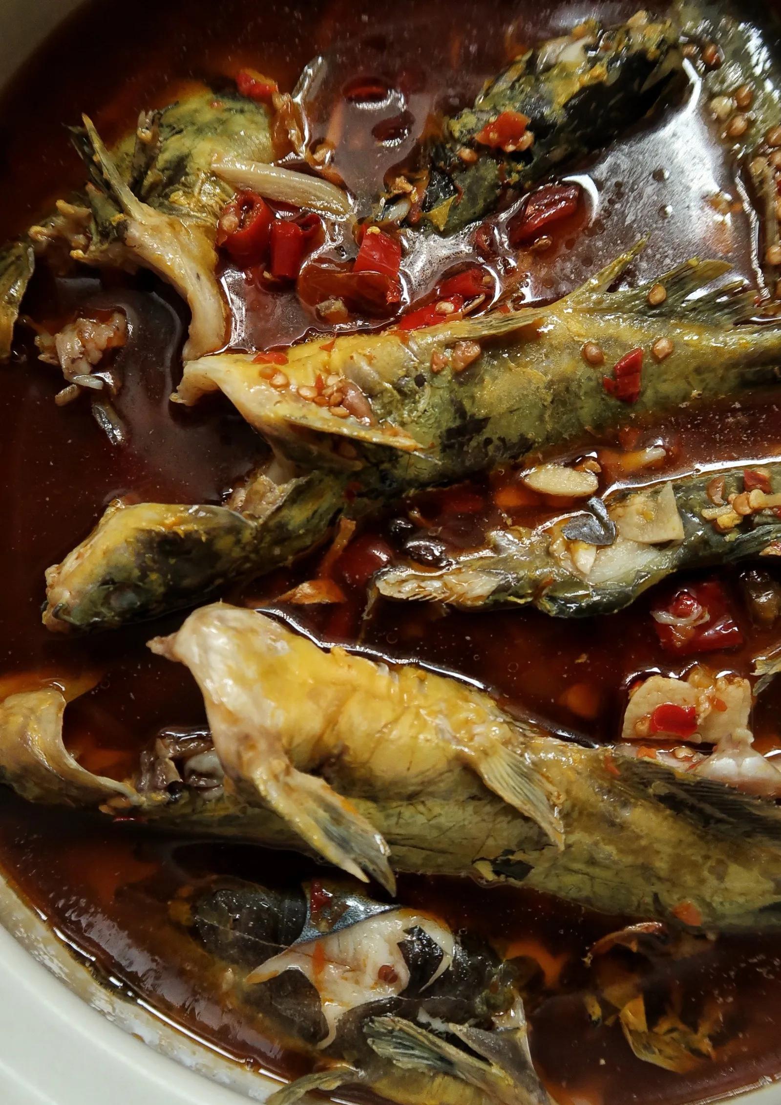 黄辣丁拿盐巴和料酒腌渍搓洗,它胡子刺很利,要格外小心。