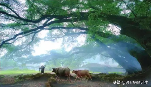 手机摄影创作后期教程,手机摄影的光影技术