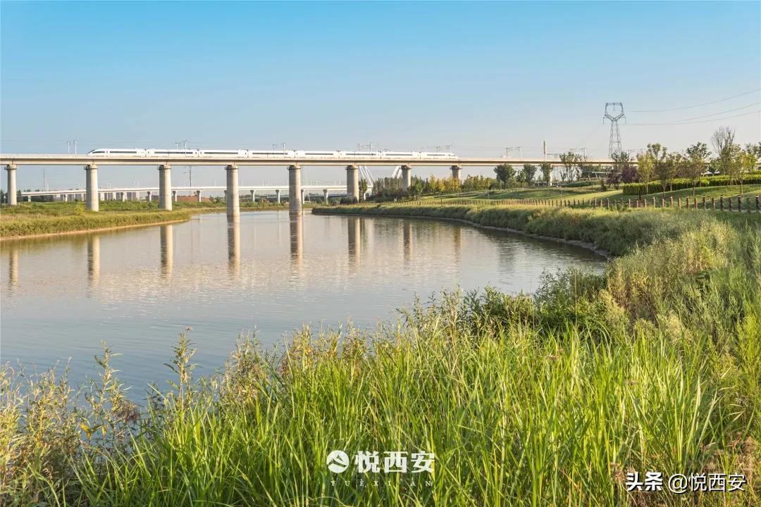 沣东新城道路规划图高清,西咸新区沣东新城镐京道路规划