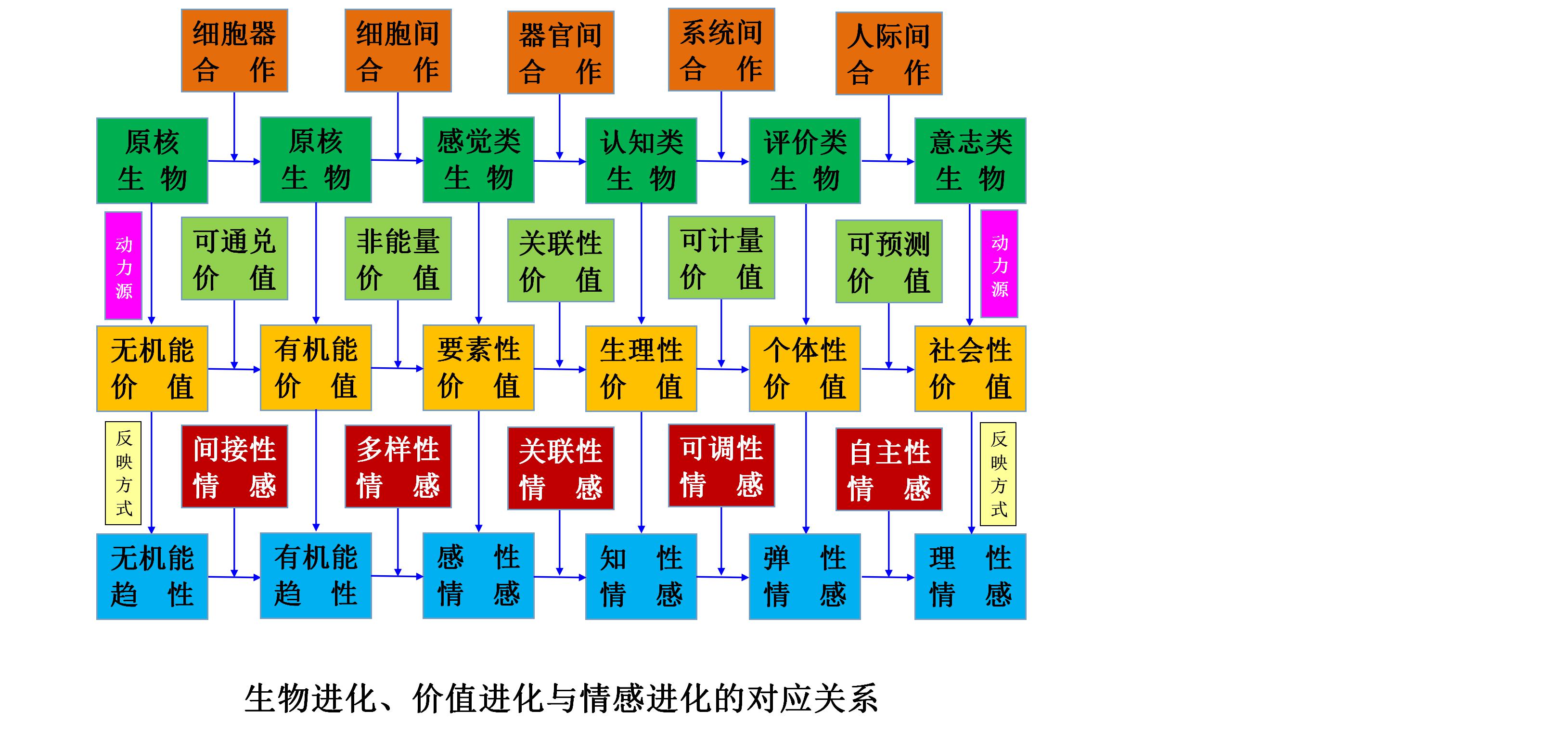 生物进化论和社会进化论,生物进化论与哲学