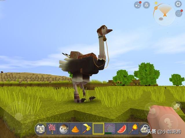 迷你世界各种坐骑怎样驯服,迷你世界的强力坐骑怎么驯服