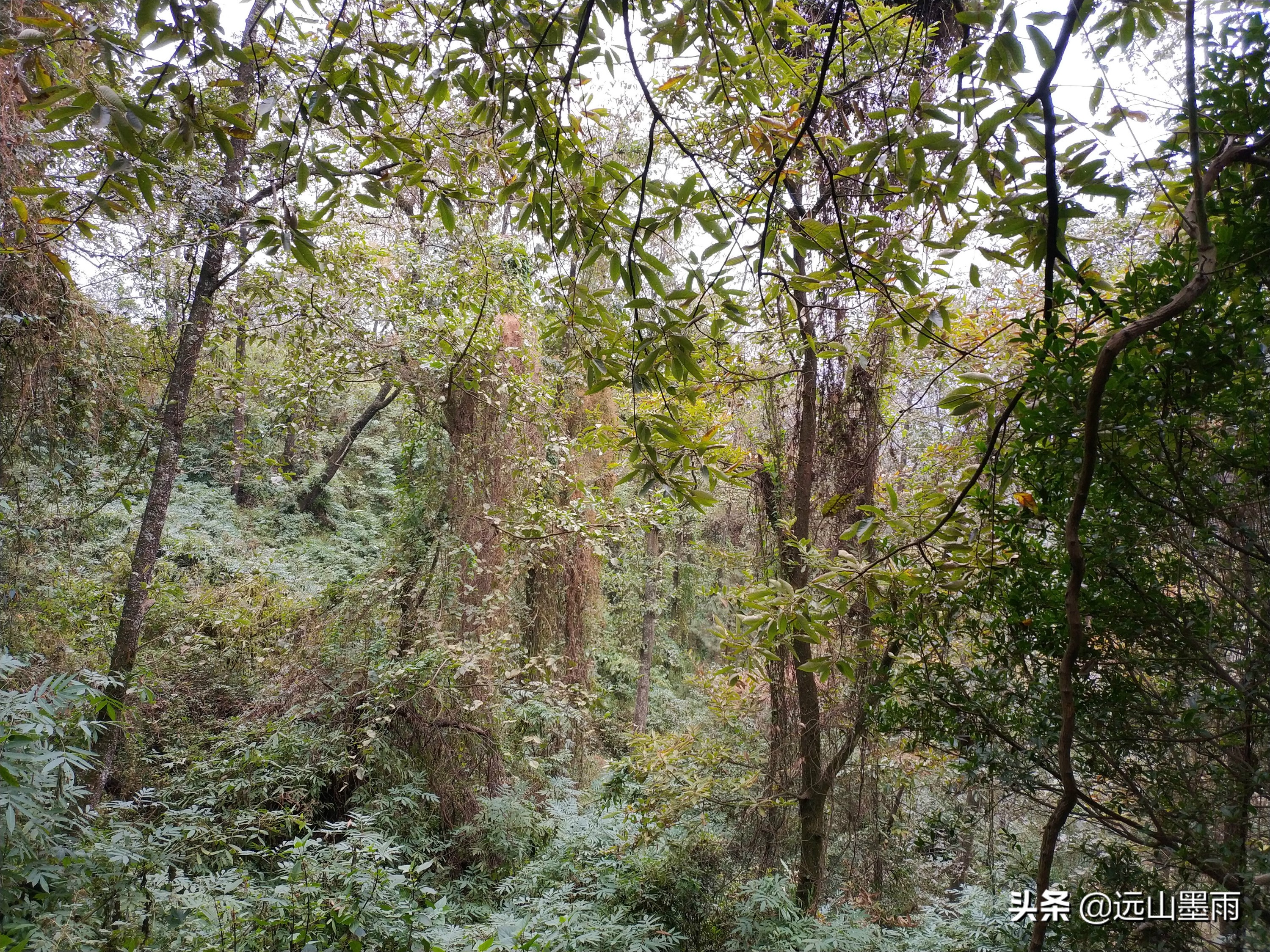 西山旅游公路穿越攻略,昆明西山爬山攻略最佳线路