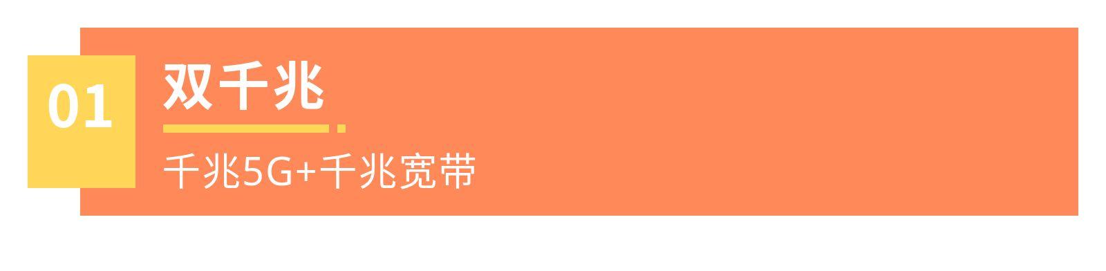 双千兆电信,双频千兆和3000兆的区别