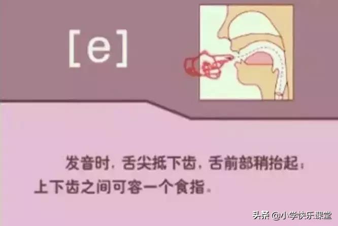 48个国际音标的发音口型视频图,英语48个音标发音口型视频