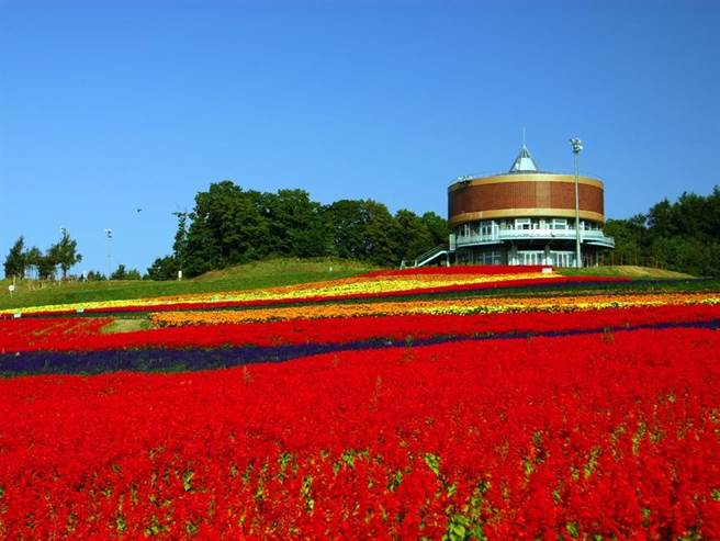 北海道快40个景点你全去过吗？快记笔记！这5个地方超适合过年