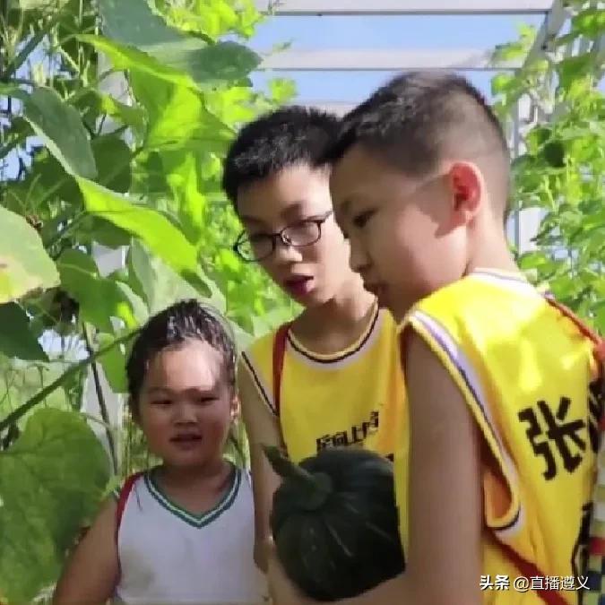 遵义避暑胜地亲子游民宿,避暑遵义