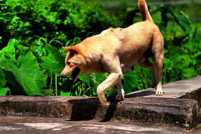 四喜临门的喜事,喜事临门的六个预兆