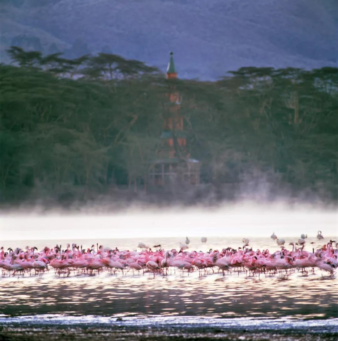 世界那么大,40岁前攒钱也要去的15个地方!千万别等老了再后悔