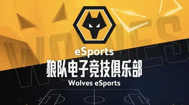 狼队或签下科斯塔,狼队会签约中国球员