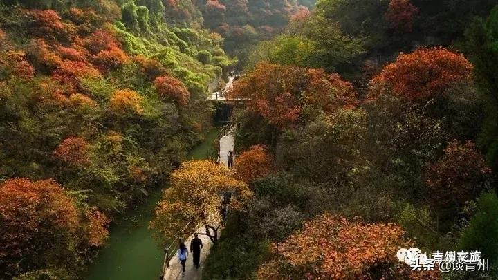 青州市区景区地图,青州全域旅游