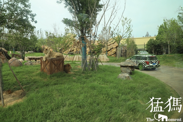 暗访天价郑州动物园,暗访郑州动物园