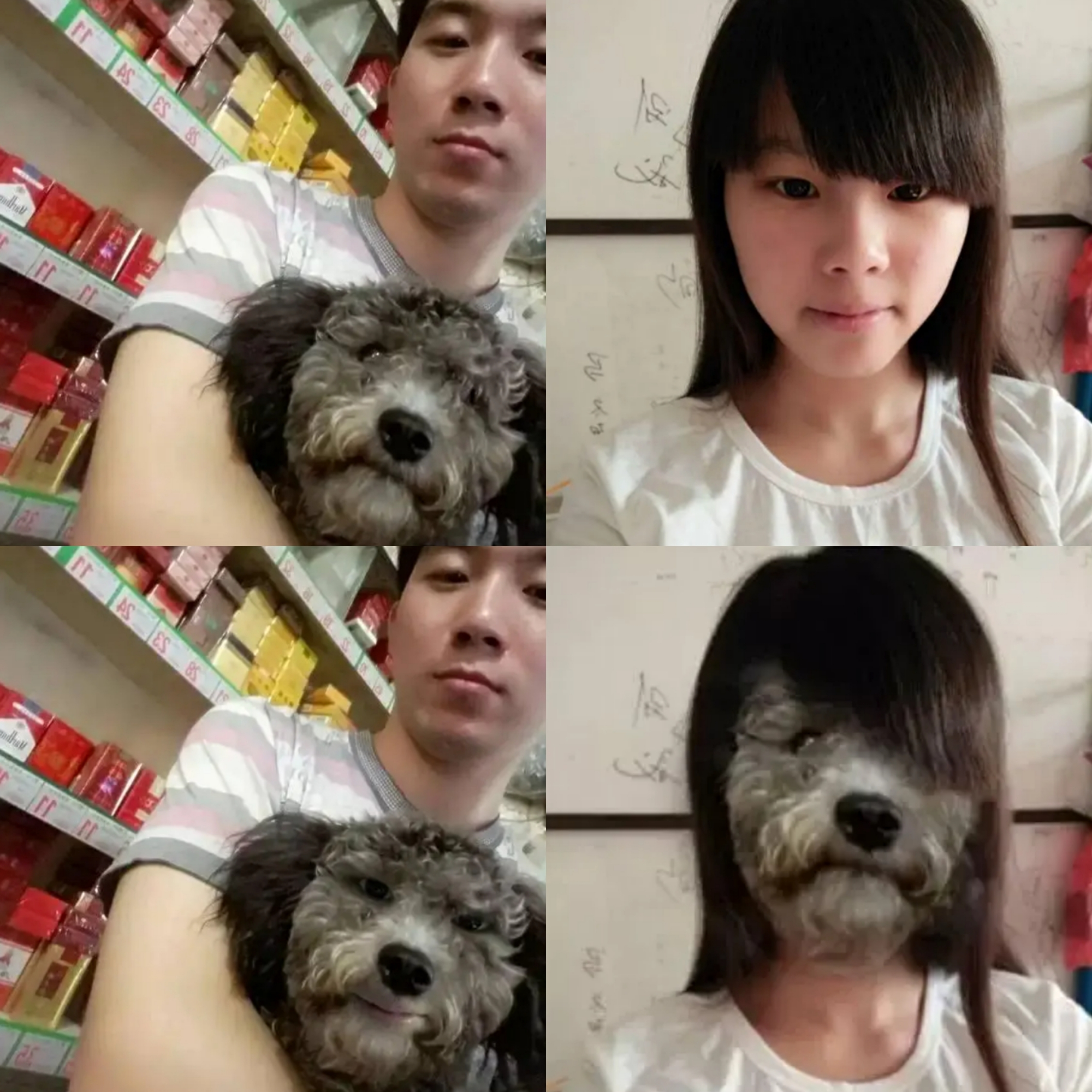 鹿晗二次元照片,当鲨鱼遇到大神鹿晗