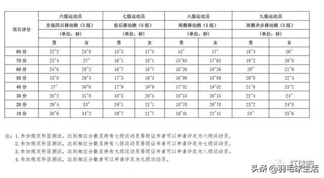 中国羽协羽毛球等级认证,羽毛球等级评定中羽三级