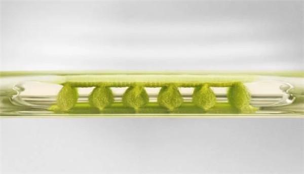 reebok经典球鞋,reebok球鞋怎么样