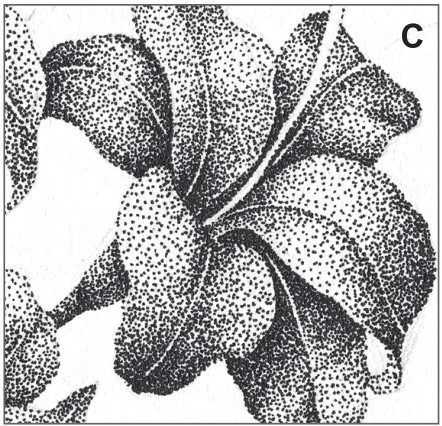 插画绘画教程纸绘,怎么画简单好看的插画教程