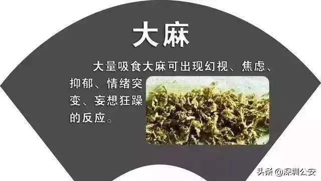 知识点有什么,知识点的重要性