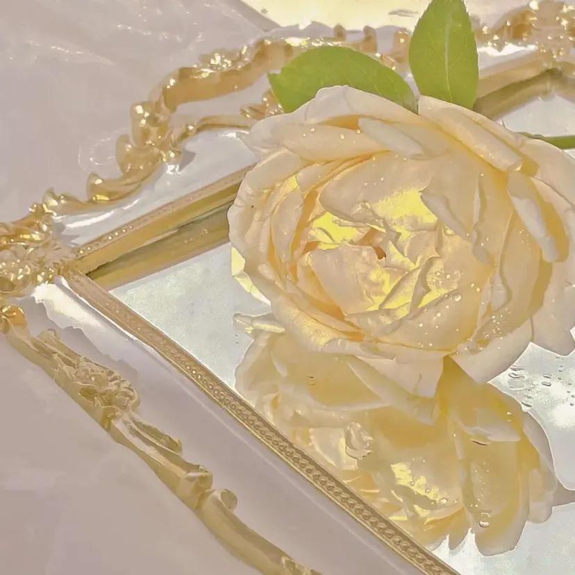 “浪漫黄玫瑰背景：玫瑰配你才浪漫，电影和你才好看”