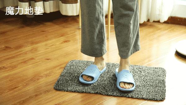 神奇的虎皮地毯,神奇宝贝的地毯